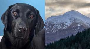 Intoxicação por cannabis exige resgate de labradora na montanha mais alta do Reino Unido
