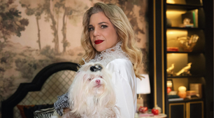 Maria Antonieta, a cadela de 'Quem Ama Cuida', conquista fãs com estilo e charme