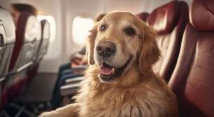 Vai viajar com pet? Conheça as novas orientações da IATA para voos