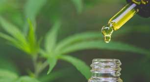 Estudo: Cannabis medicinal reduz uso de antidepressivos e opioides