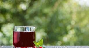 Suco de cranberry pode potencializar o efeito de antibióticos para infecção urinária