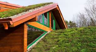 Telhado verde: como funciona a cobertura sustentável que ajuda a refrescar a casa