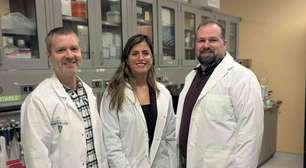 Cientistas modificam bactérias para combater câncer
