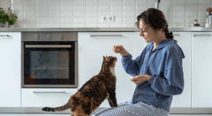 8 dicas para saber se o seu gato está saudável