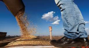 EUA podem perder para o Brasil o papel de maior exportador agrícola do mundo, diz Financial Times
