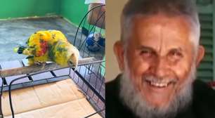 Papagaio de Frei Damião continua vivo após 90 anos e atrai fiéis do Brasil