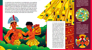 Livro gratuito sobre a castanheira-da-amazônia é semifinalista do Jabuti
