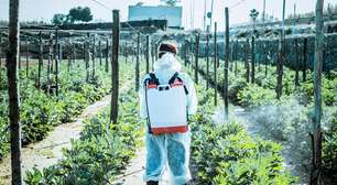 Mesmo pesticidas considerados "seguros" podem aumentar risco de câncer