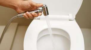 Como a água quente ajuda na limpeza de vasos sanitários? Entenda!