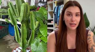 Influencer diz que quase ficou cega após líquido de cacto-candelabro atingir seus olhos em Rondônia