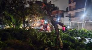 Queda de árvore provoca bloqueio no bairro Bom Fim, em Porto Alegre