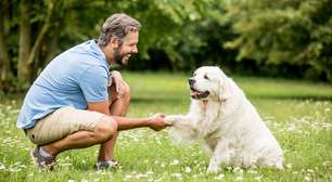 Cães obedecem melhor quando os tutores estão felizes; entenda
