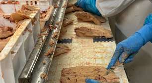 Veto ao foie gras no Brasil reacende tensão comercial com a França após acordo Mercosul-UE