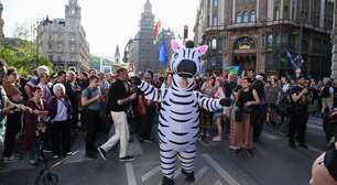 Hungria investiga rebanho de zebras pertencente a um aliado do ex-premiê Orbán