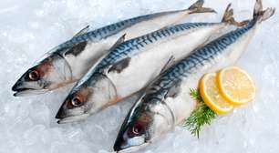 Nem todo mundo sabe, mas esse peixe pode trazer benefícios para a saúde do cérebro