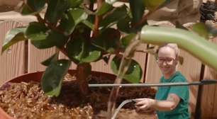 Jardineiros especialistas concordam: "regar as plantas às três da tarde é como despejar um balde de água fervente sobre elas"