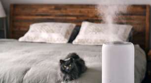 Óleos essenciais e pets: conheça os aromas que podem causar intoxicação grave em cães e gatos