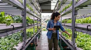 O segredo das fazendas verticais não está só nas plantas, mas nos dados
