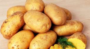 Você guarda batata na geladeira? Veja o que acontece com ela