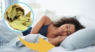 Minha avó sempre colocava folha de louro no quarto antes de dormir; só depois entendi o motivo