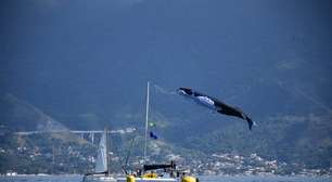 Conheça as classes e os barcos que disputam a 53ª Semana Internacional de Vela de Ilhabela