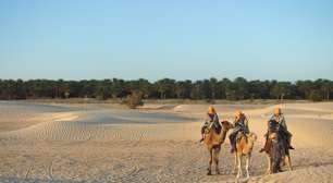 Marrocos precisa de mais colheitas para competir com a Espanha e, por isso, vai irrigar o Deserto do Saara
