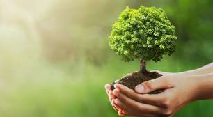 Dia Mundial da Conservação da Natureza: 10 atitudes simples que ajudam o planeta todos os dias