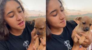 Cachorrinha 'rejeita' hit 'JETSKI' e dorme ao som de 'Evidências'; veja