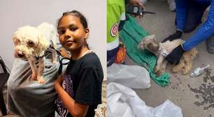 Cãozinho é resgatado com vida dos escombros 29 dias após terremoto na Venezuela e emociona a web