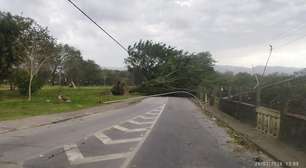 Ventos superam 100 km/h e deixam 5 mortos em São Paulo e no Rio de Janeiro