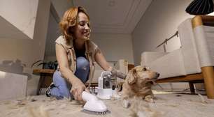 Como manter a casa limpa com pets: dicas e soluções práticas