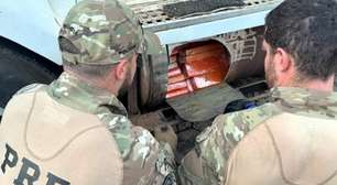 Cão farejador da PRF localiza 581 kg de maconha em tanque de carreta na BR-282