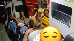 Cachorro 'caramelo' emociona socorristas ao acompanhar tutor em atendimento do Samu em SC