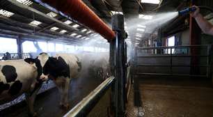 Calor extremo derruba produção agrícola na Europa e expõe riscos de modelo intensivo