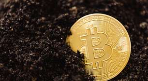 Fundador da maior mineradora de Bitcoin da Rússia é preso por suspeita de fraude