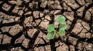 Devido às mudanças climáticas, até 2100 perderemos o equivalente ao que 2 bilhões de pessoas consomem anualmente em colheitas