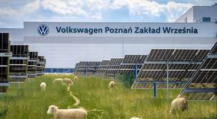 Volkswagen colocou ovelhas para pastar sob 31 mil painéis solares. O resultado foi bom para os animais e para o meio ambiente