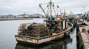 Governo suspende autorização de pesca de embarcação de lagosta por 30 dias