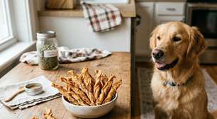3 receitas de petiscos naturais para agradar seu cachorro sem sabotar o emagrecimento