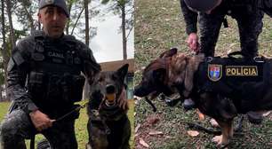 Cadela se aposenta da PM após sete anos de serviço e recebe homenagem: 'Vai descansar'