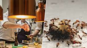 Chef sul-coreano descobriu uma nova maneira de ir parar na cadeia: cobrir seus sorvetes com formigas azedas