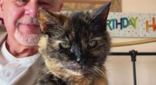'Gata mais velha do mundo', com 146 anos humanos, tem dieta revelada; saiba o que ela come