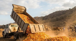Em 1997, cobriram um local deserto na Costa Rica com 12.000 toneladas de cascas de laranja; 16 anos depois, ninguém reconheceu a paisagem
