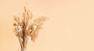 Flores secas na decoração: 5 cuidados essenciais para manter os arranjos bonitos por mais tempo