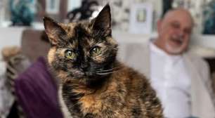 Gata de 31 anos pode entrar para o Guinness: rotina com camarão, salmão e água mineral chama atenção