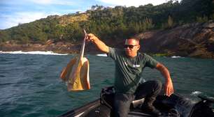 Onze arraias ameaçadas de extinção são resgatadas de rede de pesca em Saquarema