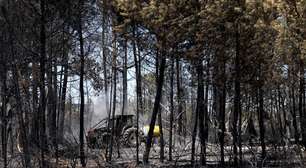 Incêndios, ondas de calor e seca fazem de julho de 2026 o mês mais quente da história da França
