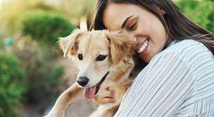Como lidar com a perda de um cachorro: dicas para enfrentar o luto