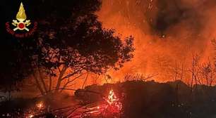 Incêndios na Itália consumiram 70 mil hectares neste verão, diz WWF