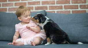 Bebês que moram com cachorros usam menos antibióticos, aponta estudo